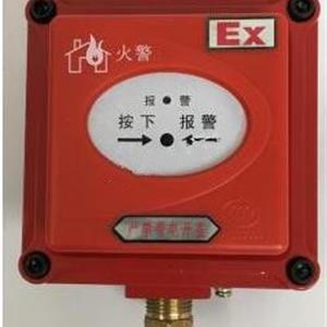 防爆手动报警开关 /防爆手动火灾报警按钮  库号：M398944