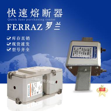 法国罗兰熔断器FD20GB100V10 FD20GB100V10T FD20GB100V12 法国罗兰,熔断器,保险丝,保险管