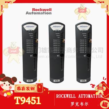 羅克韋爾 T9451 模塊 