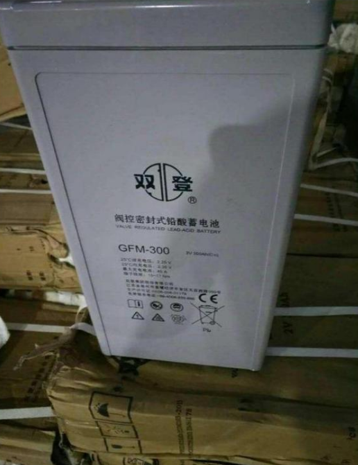 双登蓄电池2V800AH铅酸免维护阀控式双登电池GFM-800原装