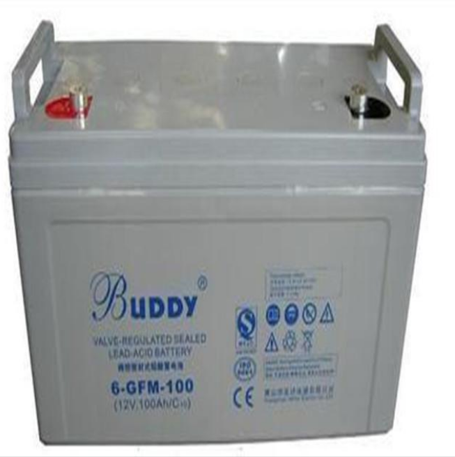 BUDDY宝迪蓄电池6-FM-24上海宝迪12V24AH直流屏UPS电池 价格