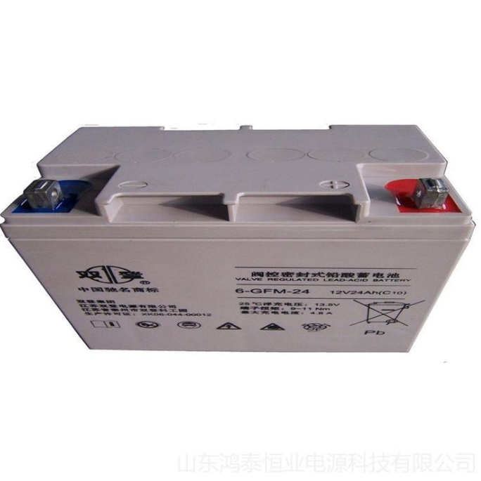 双登蓄电池6-GFM-24 阀控式蓄电池12V24AH UPS专用 铅酸免维护江苏双登电瓶
