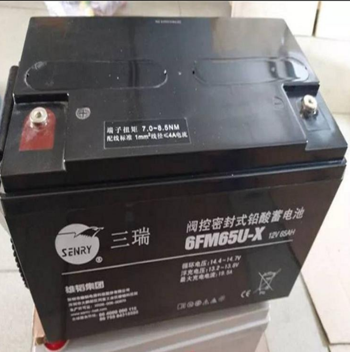 工厂直销 三瑞蓄电池 6FM100 三瑞铅酸蓄电池12V100AH 机房后备UPS电源 直流屏 EPS 船舶等专用电源