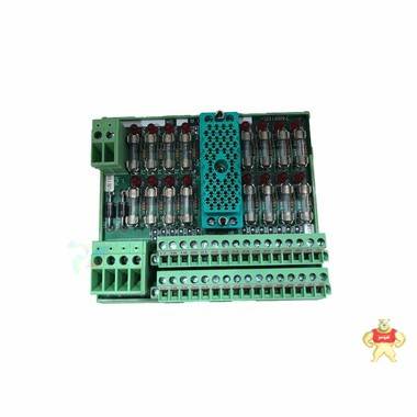 9563-810 TRICONEX 數(shù)字輸入端接面板 9563-810,TRICONEX,數(shù)字量模塊,輸入端接面板