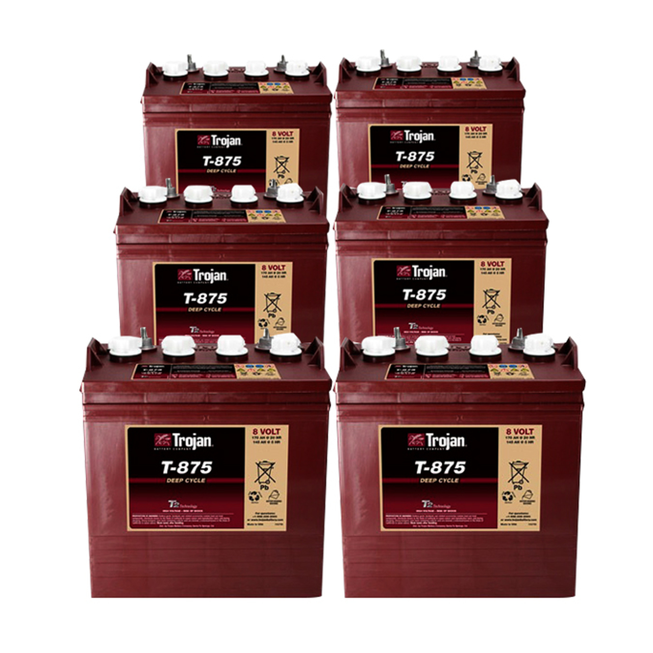 美国邱健Trojan蓄电池 T-875 8V170AH 牵引动力电池 用于高尔夫球车 扫地机 原装进口 Trojan蓄电池,美国邱健蓄电池,T-875,8V170AH