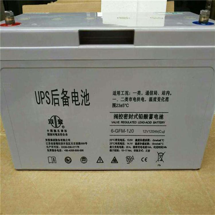 双登铅酸免维护蓄电池12V120AH 6-GFM-120 UPS电源直流屏 电力 电厂专用电瓶