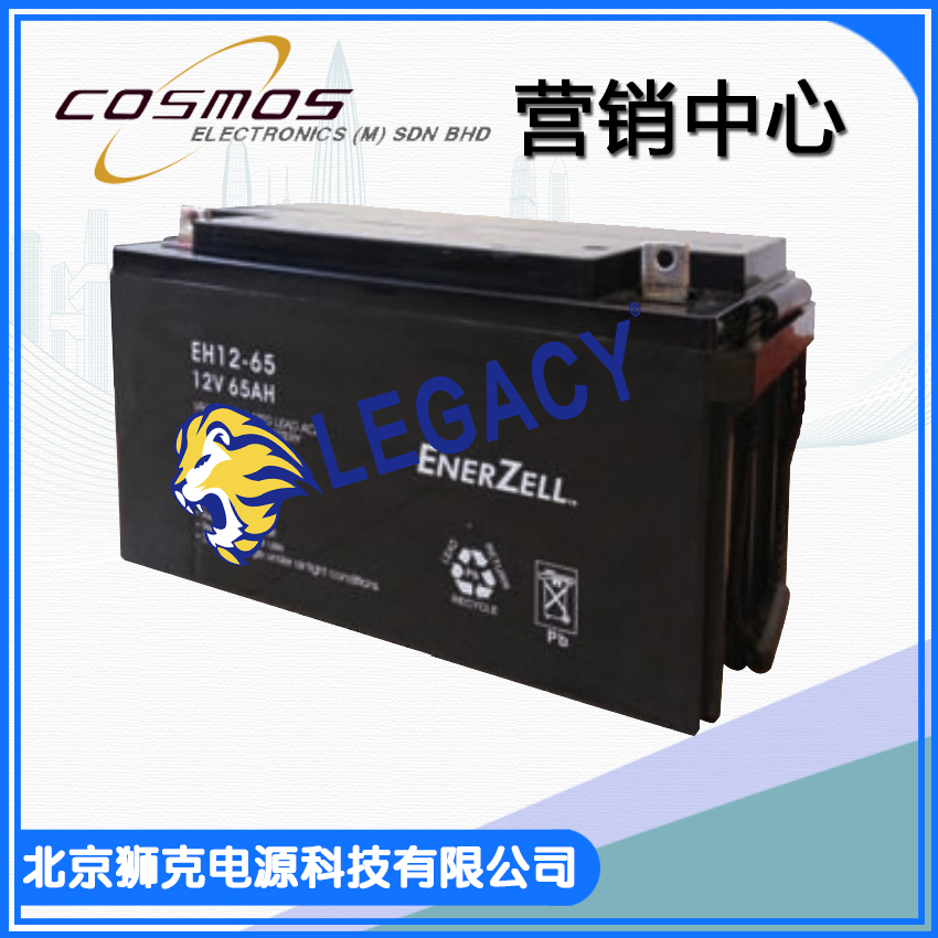 美国ENERZELL蓄电池 全型号 系列供应 美国ENERZELL蓄电池