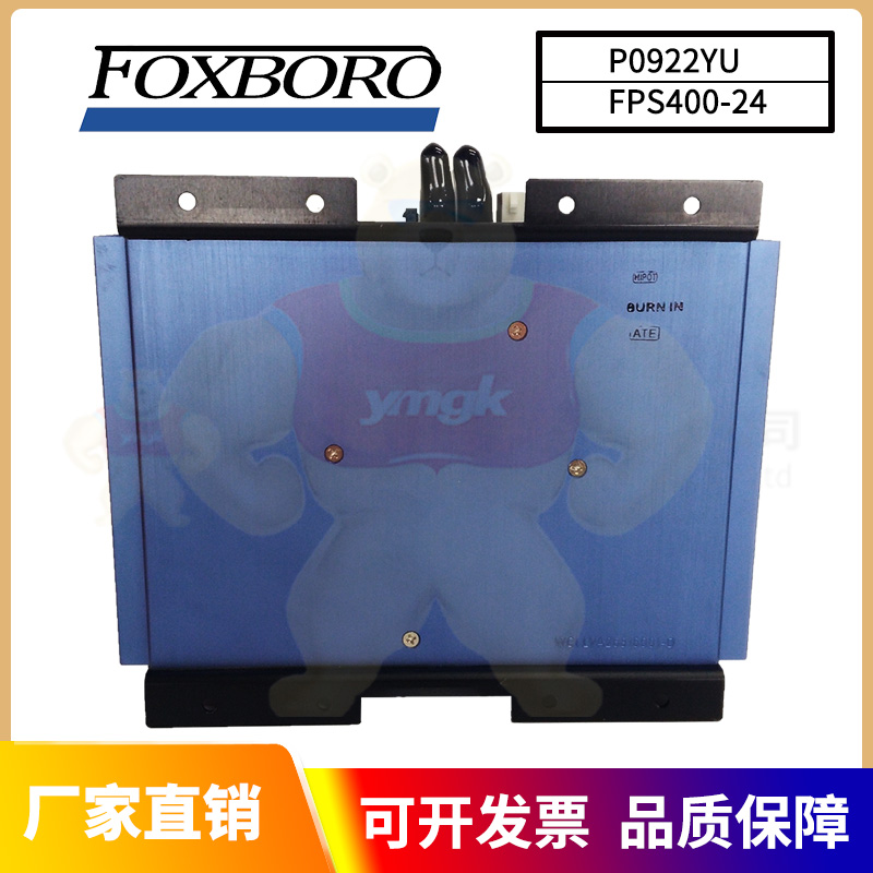 FOXBORO热电阻输入输出模块P0911QB-C卡件/交换机 