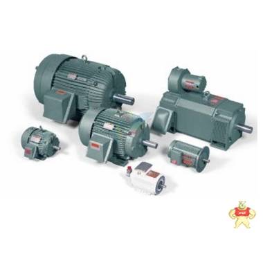 0-B18H1080 HR2000 電機(jī) 4HP RELIANCE瑞恩 