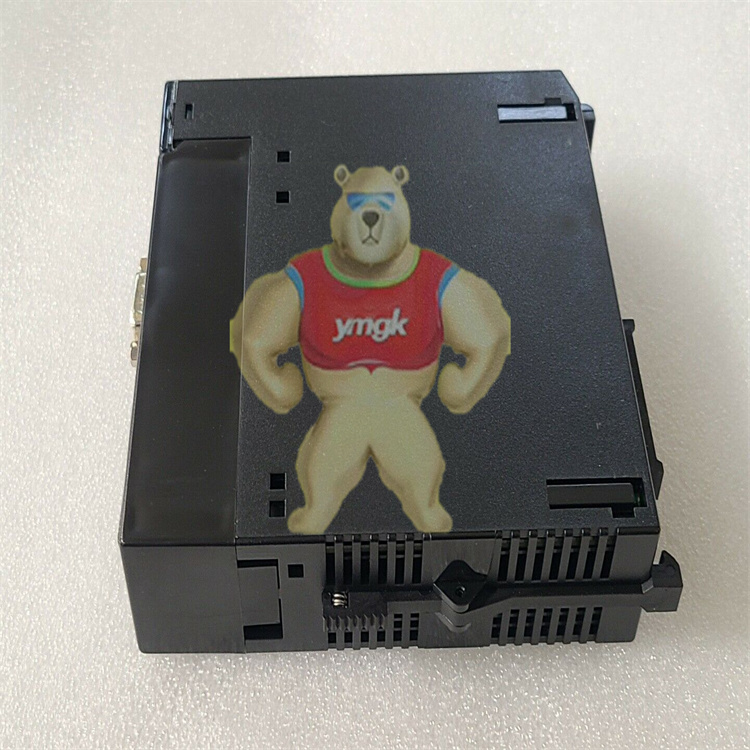 IS200DSFCG1A  模块控制器雄霸
