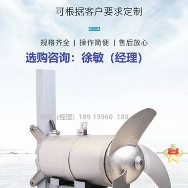 低速推流器配件及機械密封型號規(guī)格；潛水?dāng)嚢铏C更換軸承視頻；河南潛水?dāng)嚢铏C廠家 帶導(dǎo)流罩潛水?dāng)嚢铏C用途,潛水?dāng)嚢铏C安裝系統(tǒng)圖紙,安裝潛水?dāng)嚢铏C,銷售潛水?dāng)嚢铏C,潛水?dāng)嚢铏C多少錢