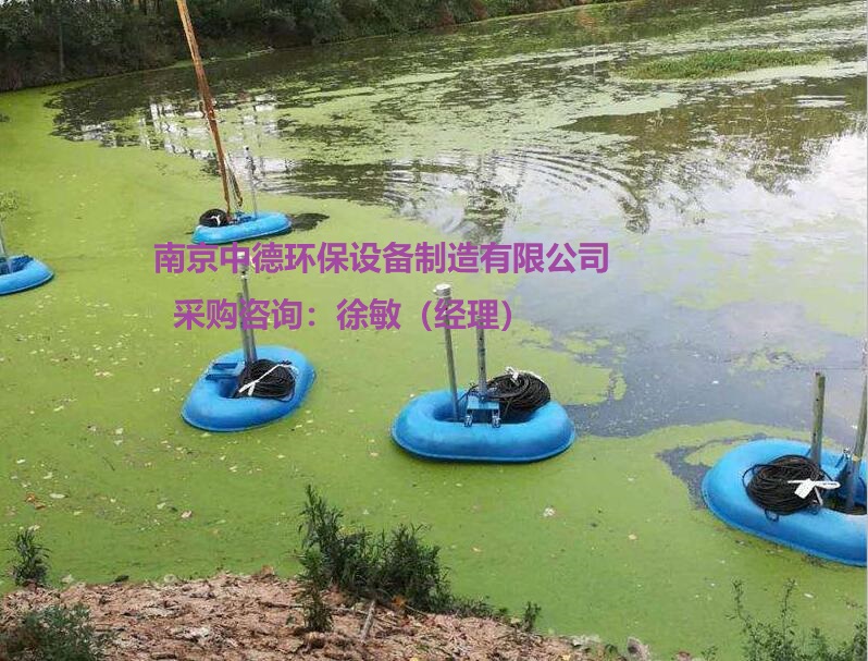 浮筒式曝气机在河道中的应用；南京中德环保FQB浮筒式潜水曝气机型号参数；浮筒曝气机订货文件 浮筒曝气机结构特点,浮筒曝气机厂家直供,浮筒曝气机安装图,浮筒曝气机多少钱,浮筒曝气机装配现场