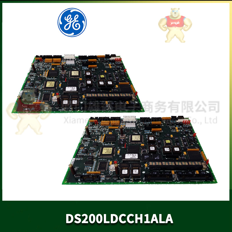 DS3815PLNC1G1A	处理器 变频器 电机 伺服控制器