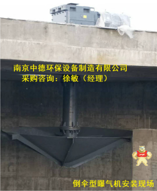倒傘型曝氣機(jī)安裝位置與裝配高度；調(diào)速立式倒傘型表面曝氣機(jī)廠家直銷；DSB-3000倒傘型立式表面曝氣機(jī)批發(fā)價(jià)格 倒傘型表面曝氣機(jī)技術(shù)要求,倒傘型曝氣機(jī)用途,倒傘型曝氣機(jī)外形尺寸,倒傘型曝氣機(jī)使用說明書,倒傘型曝氣機(jī)多少錢