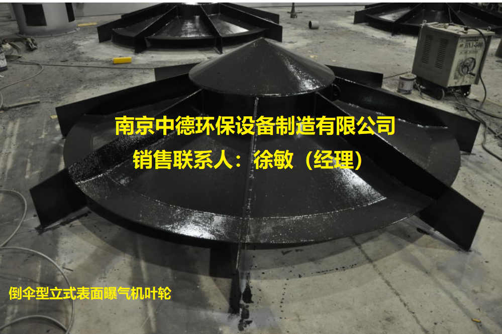 倒伞型曝气机工作原理及结构特点；南京中德环保倒伞型表面曝气机安装选型及结构概述；DSB2850倒伞立式表面曝气机外形尺寸及安装基础图