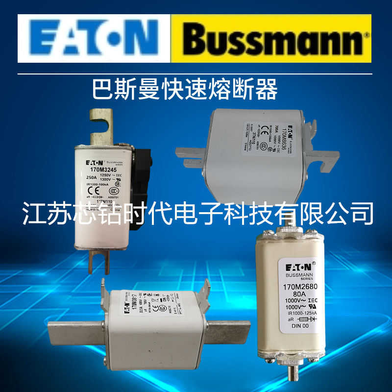 美国巴斯曼熔断器快速保险170M8640/170M8641/170M8642