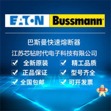 美國(guó)巴斯曼熔斷器快速保險(xiǎn)170M8640/170M8641/170M8642 巴斯曼,熔斷器,原裝正品