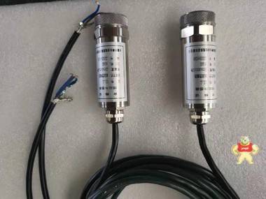 春辉牌XT-1振动传感器厂家直销 春辉牌,春辉牌XT-1,春辉牌XT-1振动传感器,XT-1振动传感器,春辉牌XT-1振动传感器厂家直销