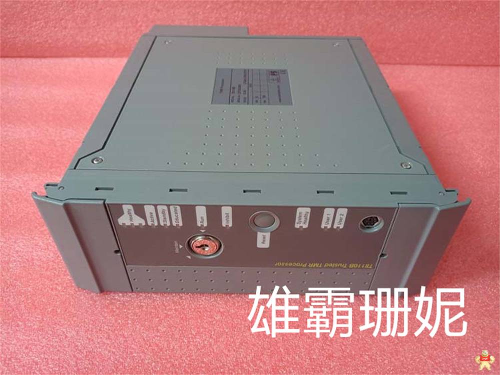 ICS TRIPLEX T9310-02 罗克韦尔ICS TRIPLEX模块现货 ICS TRIPLEX T9310-02,罗克韦尔ICS,ICS Triplex,模块,TMR处理器