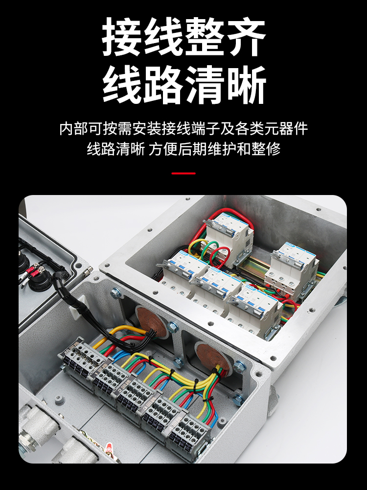 防爆配电箱动力照明电控箱照明动力仪表检修柜隔爆开关电源按钮箱