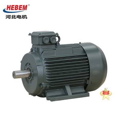 HEBEM河北电机YE3-355L-6 315KW  IEC Y2 YE2电机 