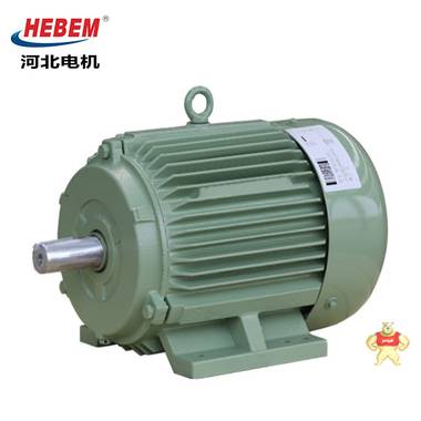 HEBEM河北电机YE3-355L-6 315KW  IEC Y2 YE2电机 