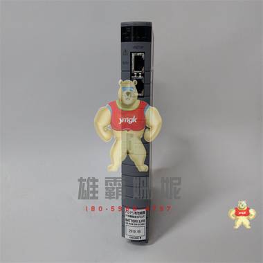 CP461-50 YOKOGAWA 模块 