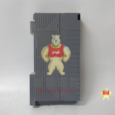 CP461-50 YOKOGAWA 模块 