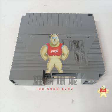 CP461-50 YOKOGAWA 模块 