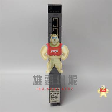 CP451-10  YOKOGAWA 模块 