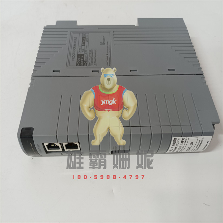 CP451-10  YOKOGAWA 模块