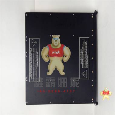 TRICONEX 3721 模块卡件 TRICONEX  4351B 