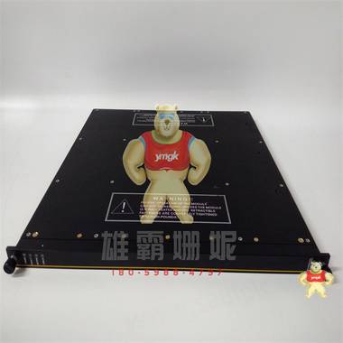 TRICONEX 3721 模块卡件 TRICONEX  4351B 