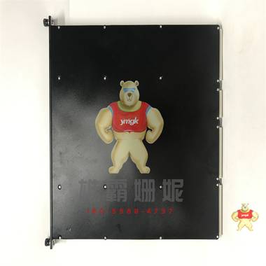 TRICONEX 3721 模块卡件 TRICONEX  4351B 