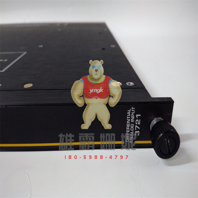 TRICONEX 3721 模块卡件 TRICONEX  4351B