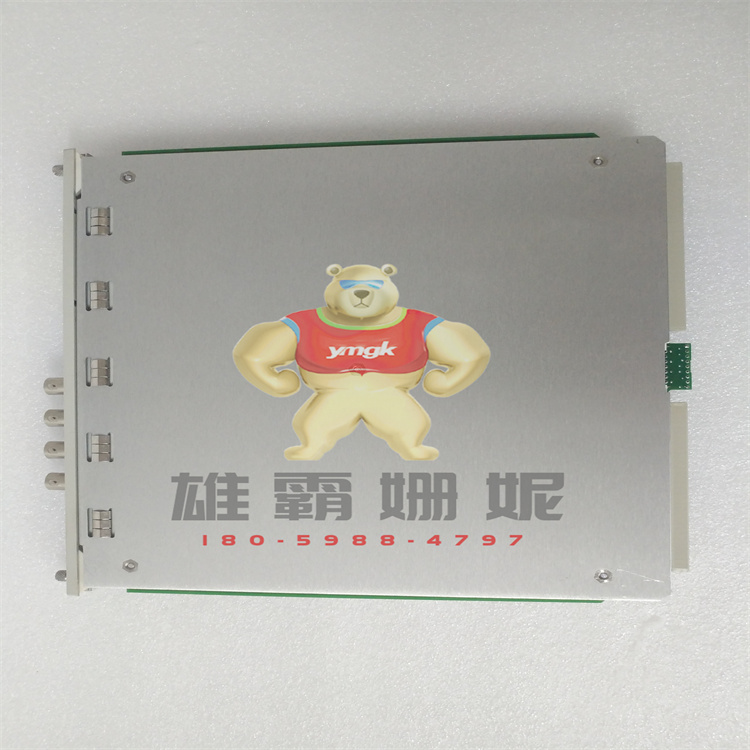 3500/22M   主控模块 3500/42M