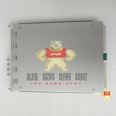 3500/22M   主控模块 3500/42M 