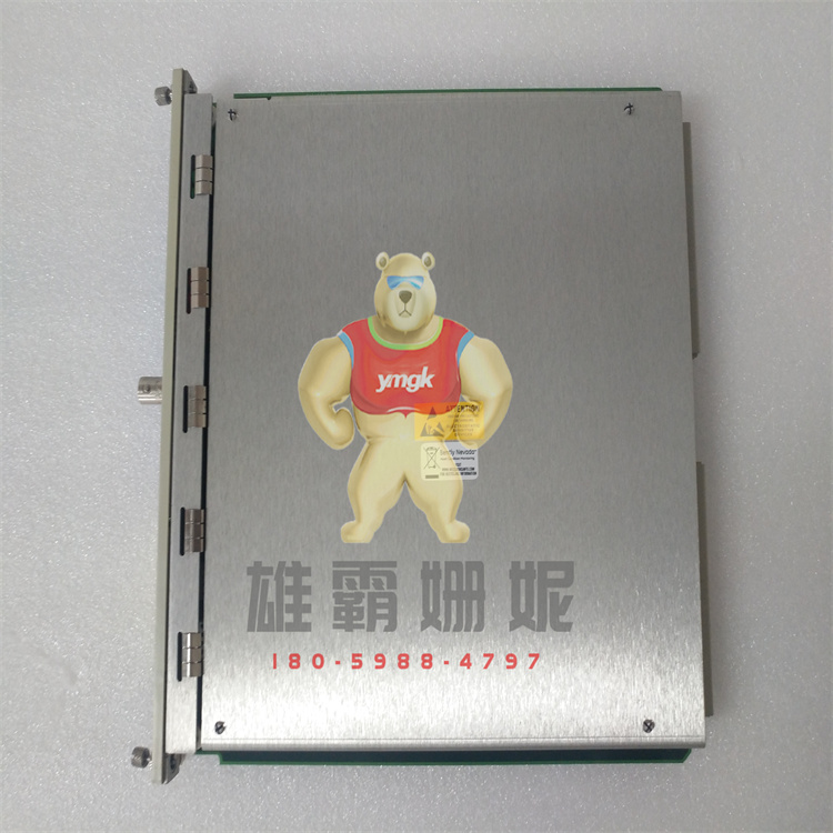 3500/22M   主控模块 3500/42M