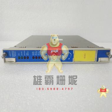 3500/22M   主控模块 3500/42M 