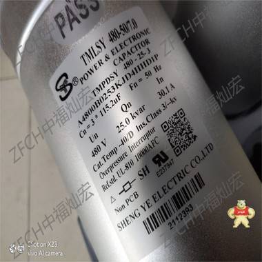 勝業(yè)電容FFC1SY330-100 L0330F1000LKNIEU3P 