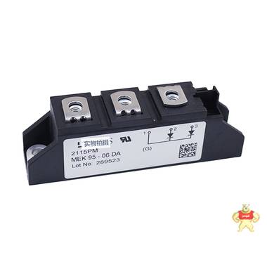 MEK 95-06 DA二极管模块 电子元器件 艾赛斯 艾赛斯,二极管,整流桥,可控硅,IGBT模块