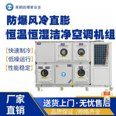 英鹏防爆风冷直膨空调机组40匹 防爆洁净空调机组,防爆恒温恒湿直膨空调机组,防爆屋顶式空调机组,防爆风冷空调机组,防爆水冷空调机组