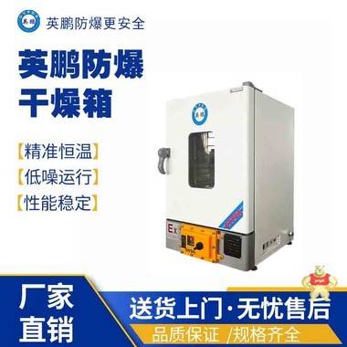大理工业用英鹏防爆干燥箱 BYP-070GX-12.5GL 防爆干燥箱,防爆烘箱,防爆烤箱,防爆双门烘箱,防爆卧式干燥箱