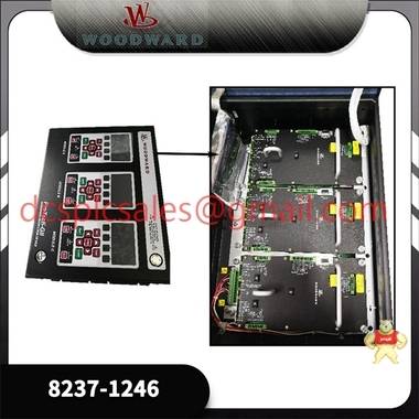 P0916NK福克斯波罗 FOXBORO模块 全新现货 DCS/PLC卡件 