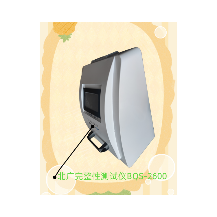 气泡点完整性测试仪/空气过滤器完整性测试仪/过滤器完整性测试仪