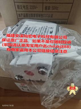 中熔熔断器RS308-HB-GG110A690VAC/550VDC 中熔熔断器,管式熔断器,片式熔断器,方体熔断器,熔断器