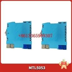 +8613365909307