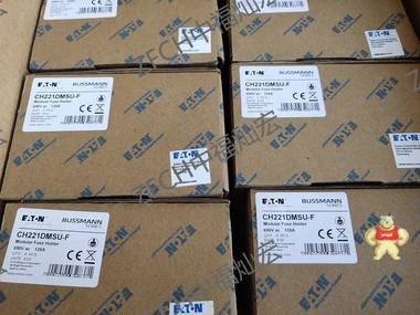 Bussmann熔斷器NGT-1-380V/100A-C 