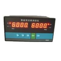 TDS902双回路检测控制仪    厂家直销  参数可定制