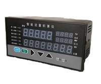 TDS8000流量积算仪